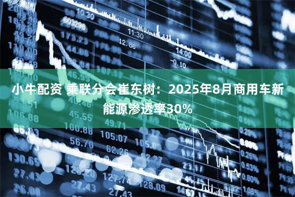 小牛配资 乘联分会崔东树：2025年8月商用车新能源渗透率30%